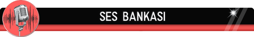Ses Bankası, Seslendirme Ekibi, Ses Castı