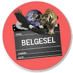 Belgesel Seslendirme